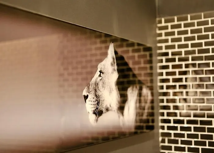 Centre - Espace Prive - شقة روان